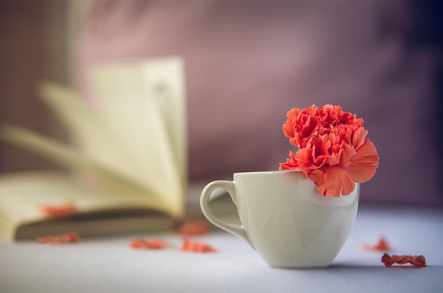 What Can Reduce Your Home Equity Over Time