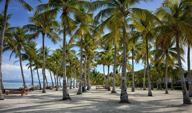 Living Beyond Bohol’s Beach Resorts