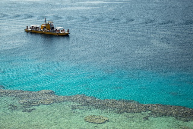 My Favorite Resorts Have Reefs