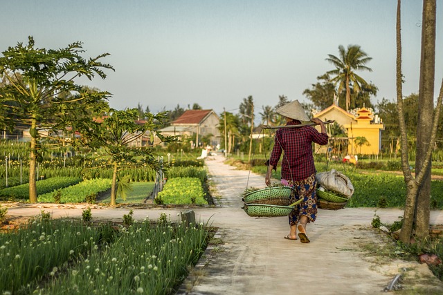 My Hoi An Countryside Villa